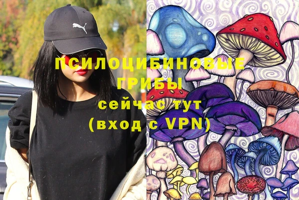 стаф Алзамай