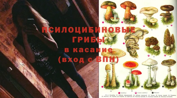 трава Алексин