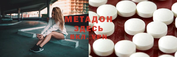стаф Алзамай