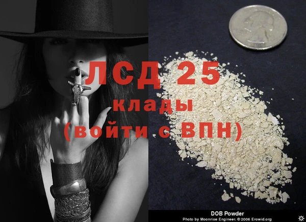 стаф Алзамай