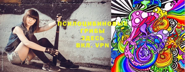 твердый Алексеевка