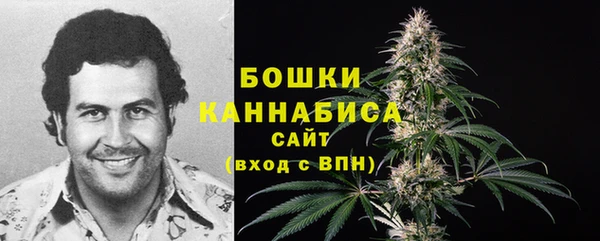 крисы Абдулино