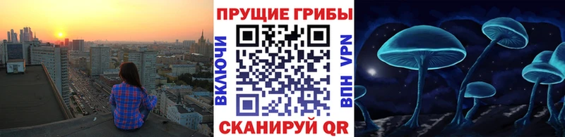 где найти наркотики  OMG ссылка  Псилоцибиновые грибы ЛСД  Барыш 